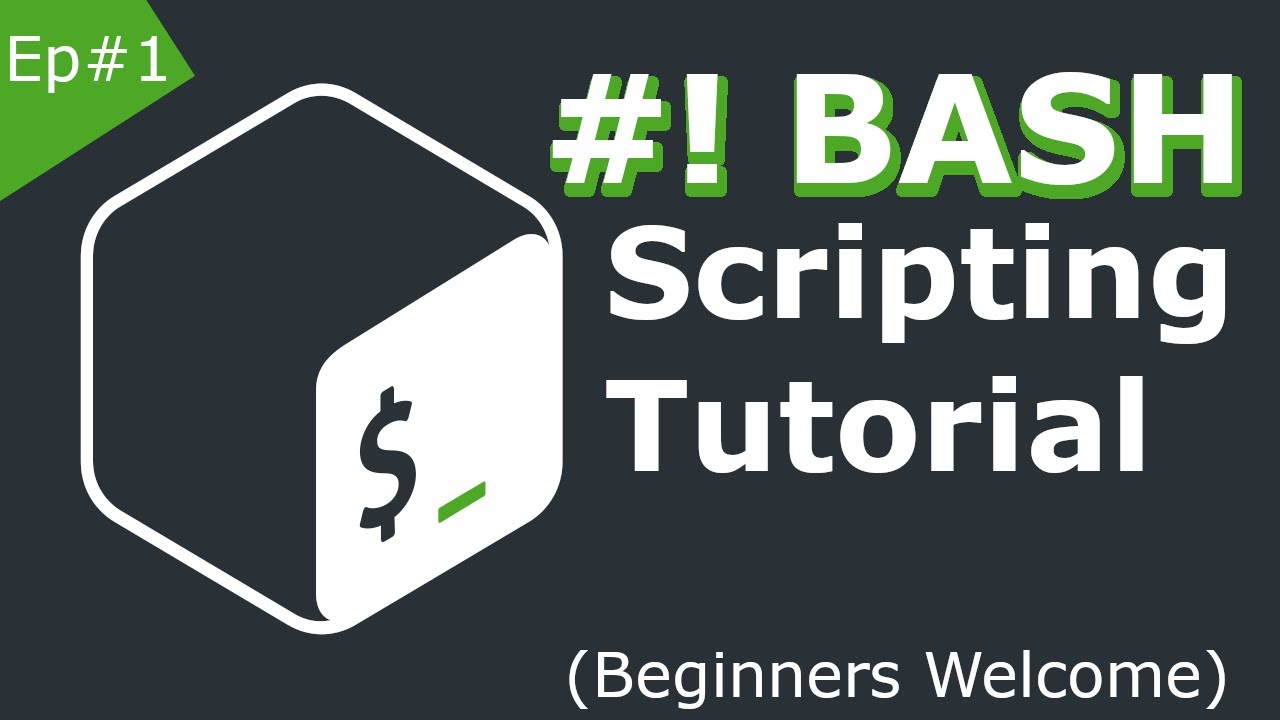 bash-shell-scripting-tutorial-for-beginners-our-first-script-using