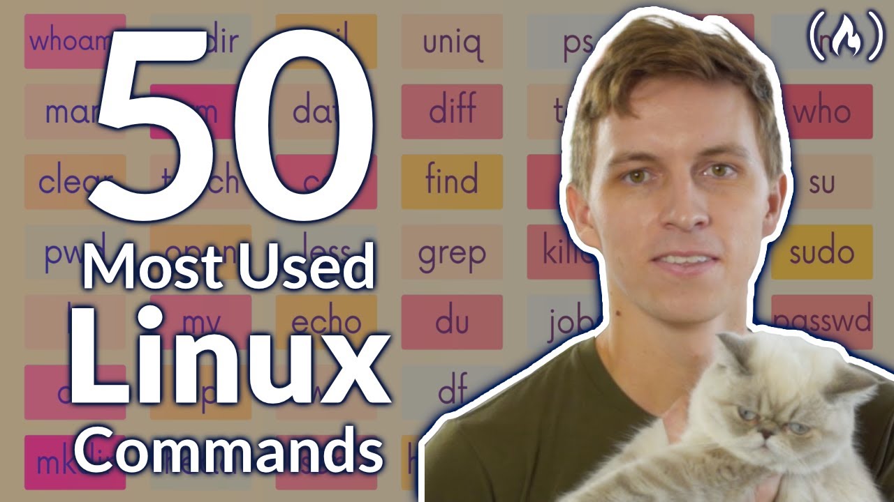 the-50-most-popular-linux-terminal-commands-full-course-for